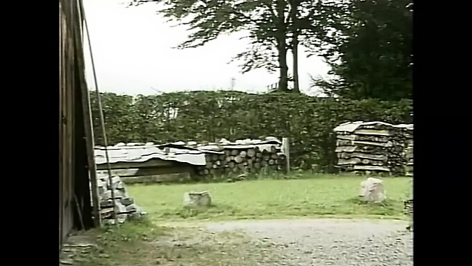 La Rencontre De Groupe Allemande Vintage D'Heidi Dans Les Bois